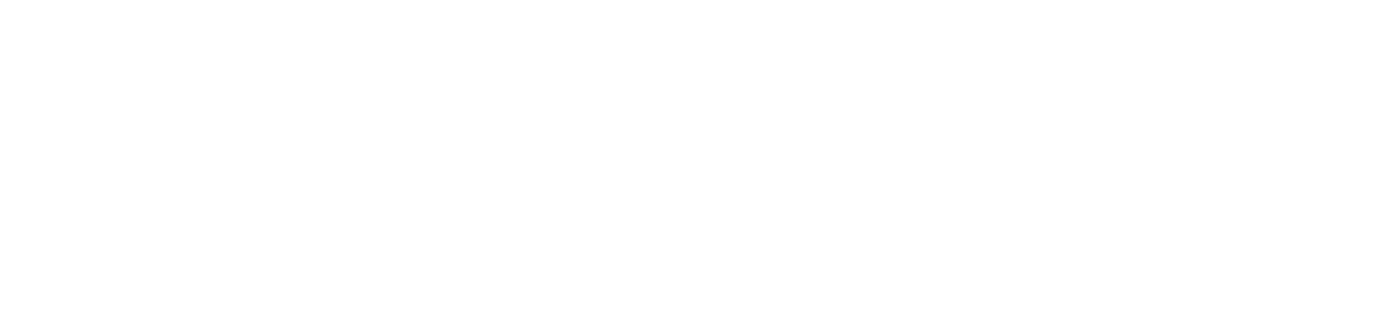 DEEPMIRROR